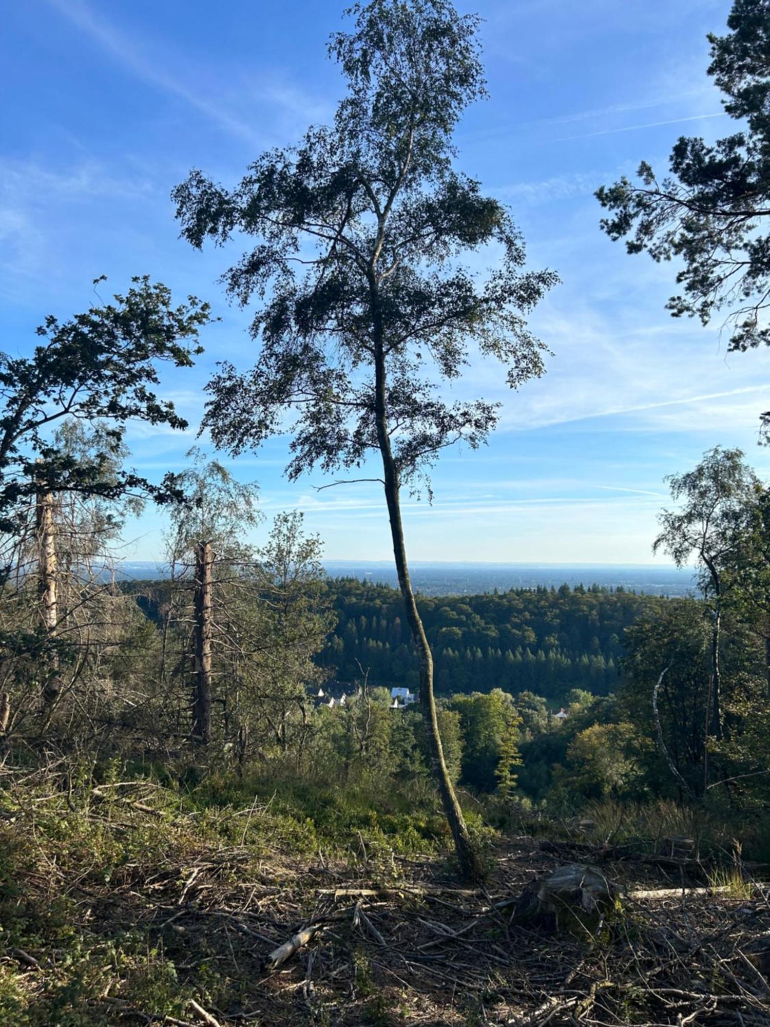 דירות Auszeit Am Toensberg Oerlinghausen Teutoburger Wald מראה חיצוני תמונה